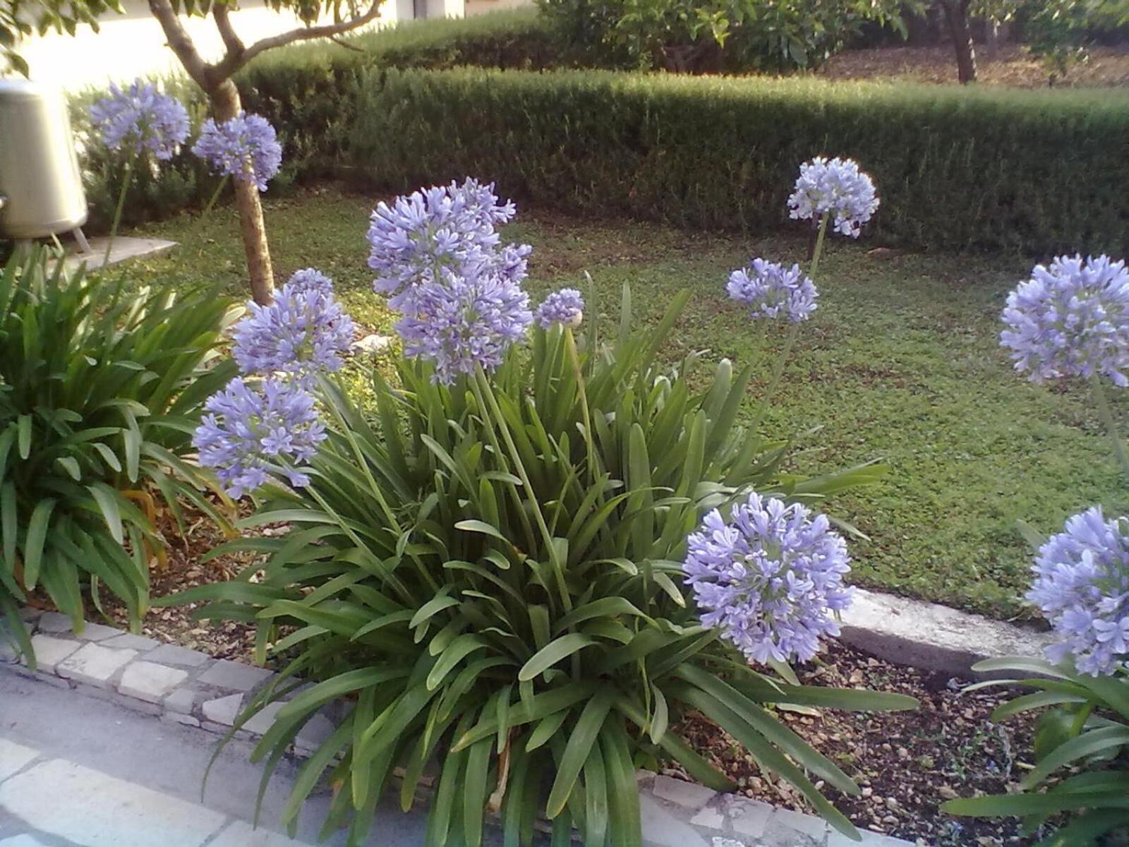 Vin Apartament Trogir